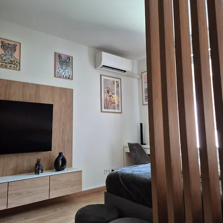 Alfa 2 Free Parking Ac Near Center Apartment *